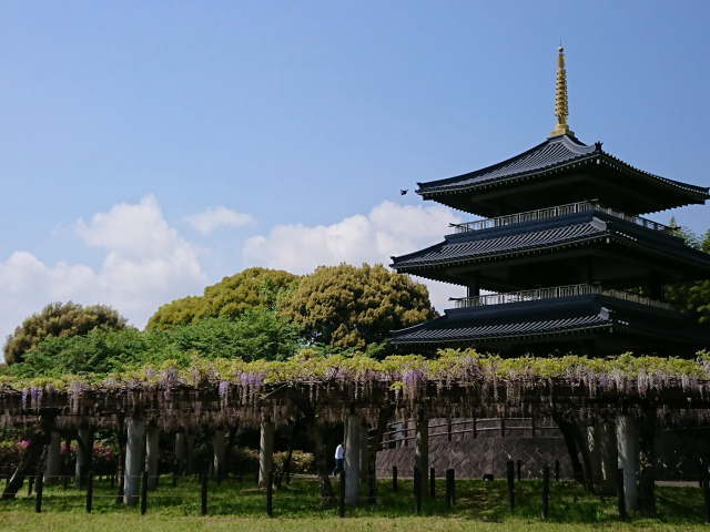 吉祥寺公園の写真
